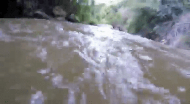 detania26February2016