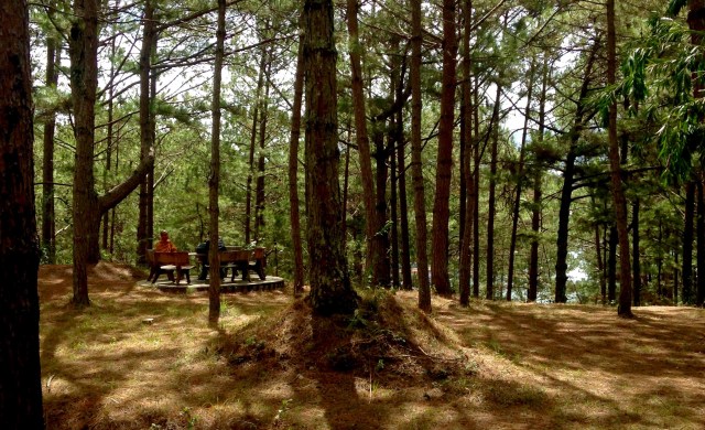 2016-02-26 10.25.44 (1).jpg